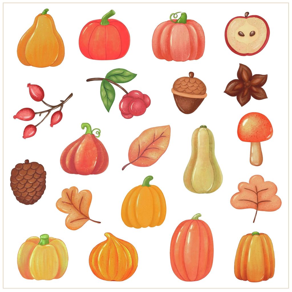 Autumn harvest illustration set with pumpkins, leaves, mushrooms, fruits, and berries in warm fall colors by Kirsche Illustration.